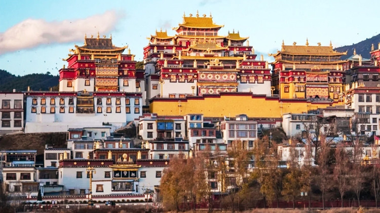 • Yunnan + Kunming + Dali City + Lijiang + Shangri-La + Stone Forest Scenic Area + Erhai Lake + Yulong Snow Mountain + Shangri-La Tiger Leaping Gorge + Potatso National Park