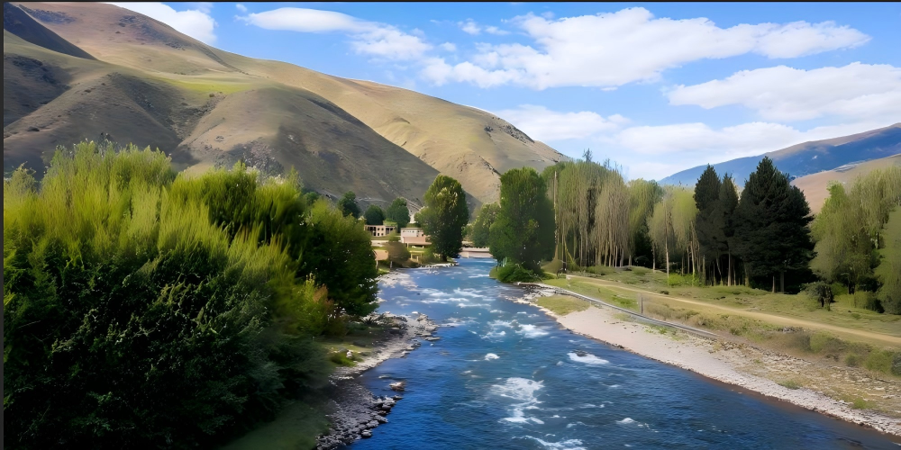 Premium Dujiangyan Day Tour: Ancient Irrigation System, Panda Valley, Blue Tears Bookstore & Sichuan Opera