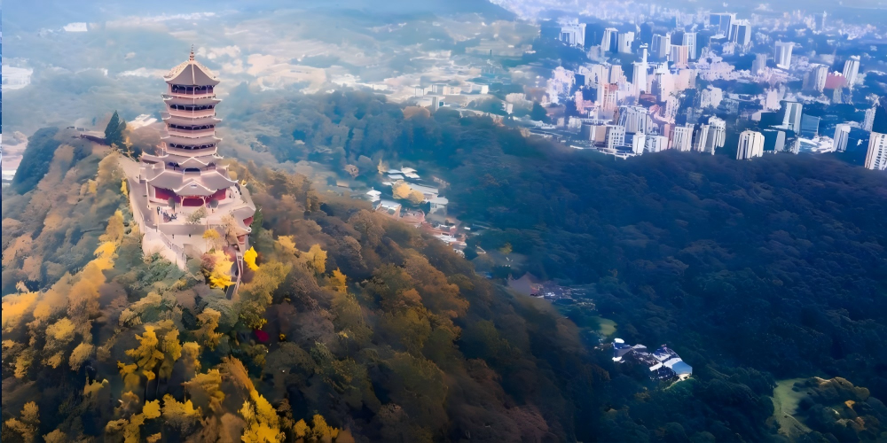 Leshan Giant Buddha & Mount Emei One-Day Highlights Expedition: All-Inclusive Tickets, Scenic Boat Cruise & Premium Small Group Options