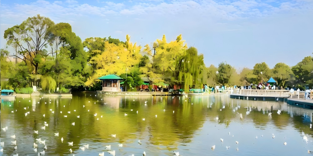 The Green Lake Park
