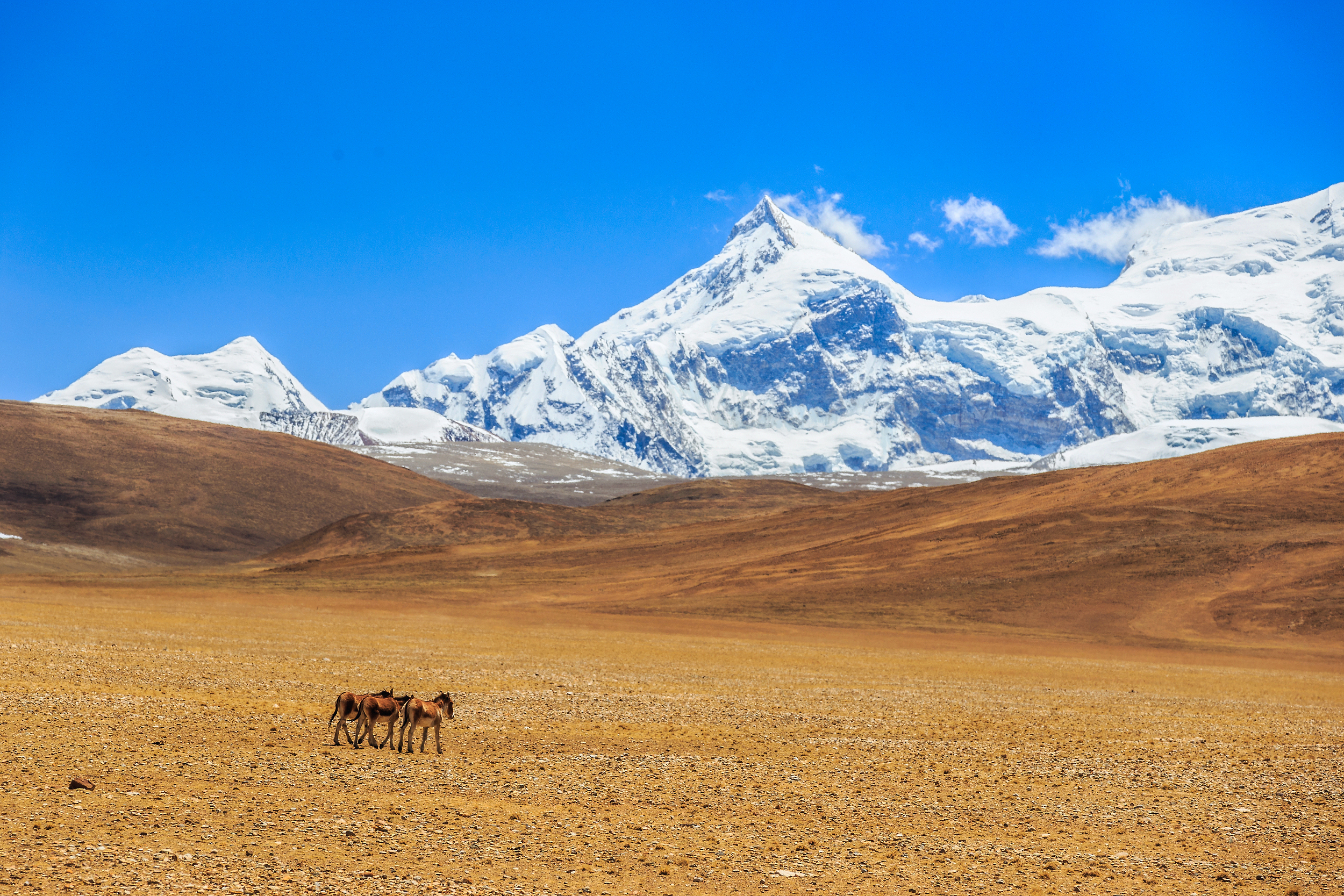 Xixiabangma Peak
