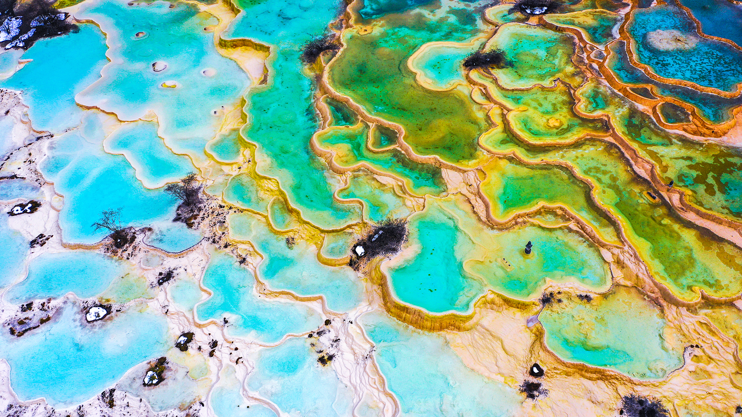 Five-Color Pond