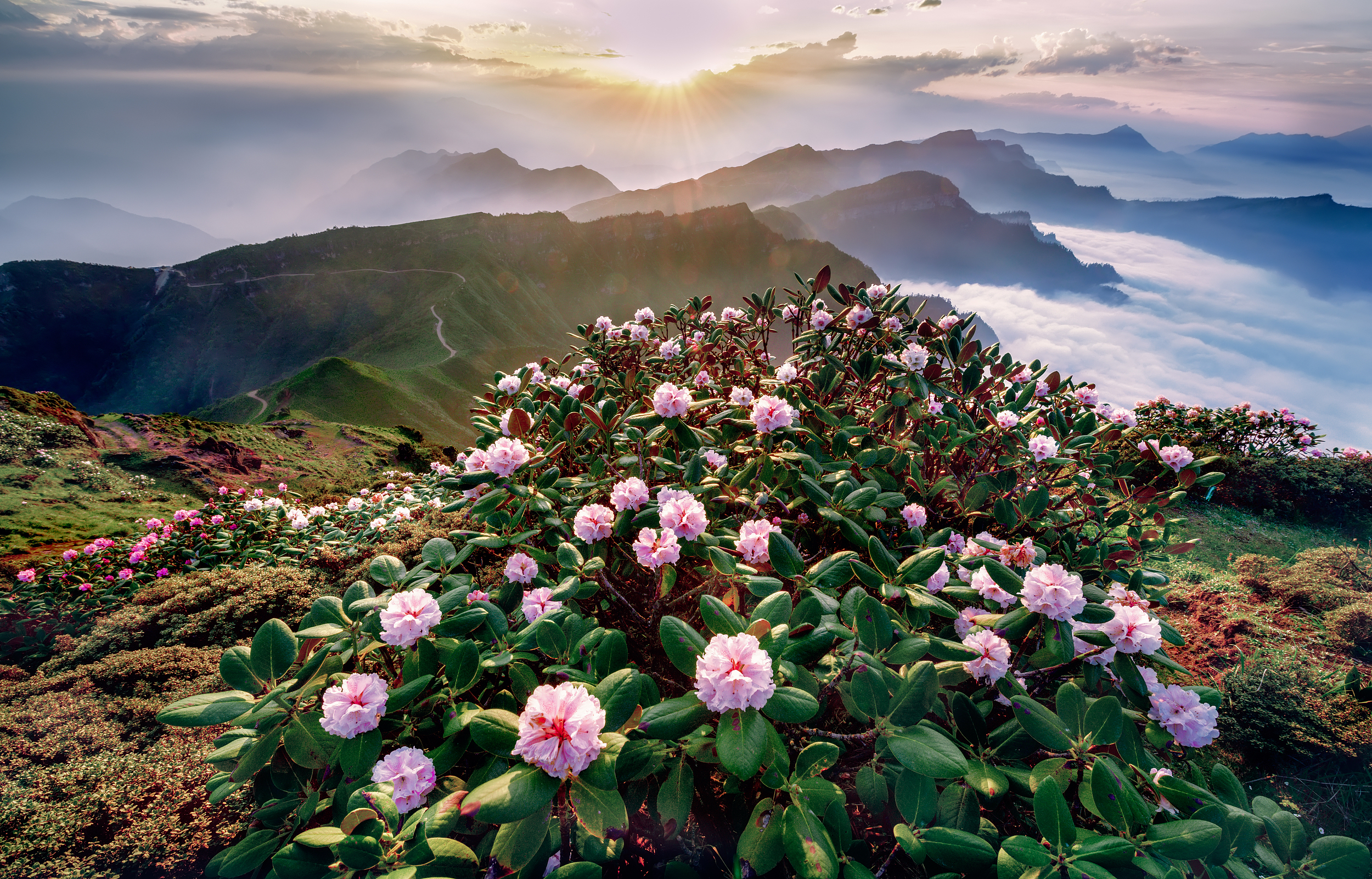 Niubei Mountain