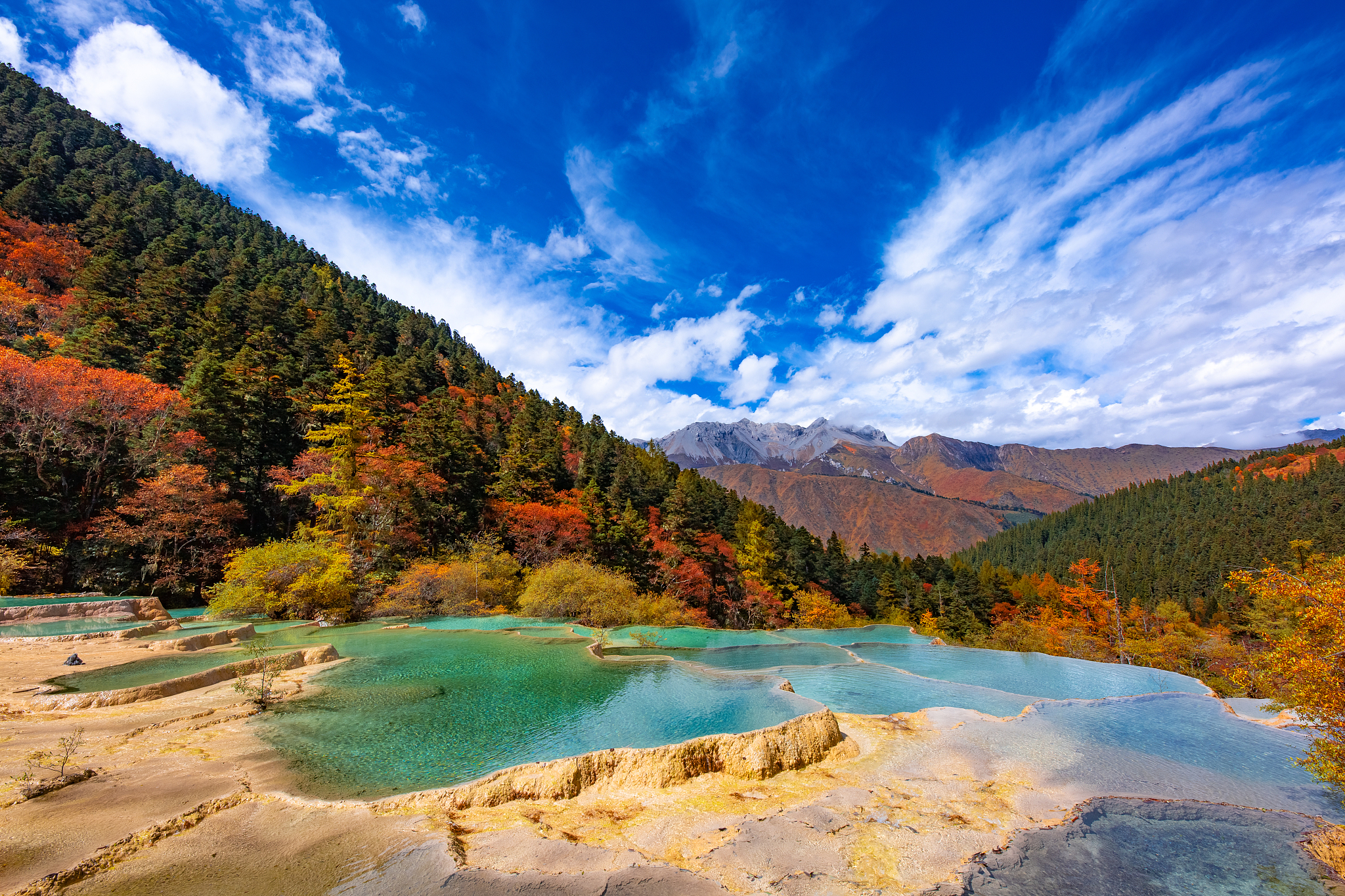 Five Coloured Pool