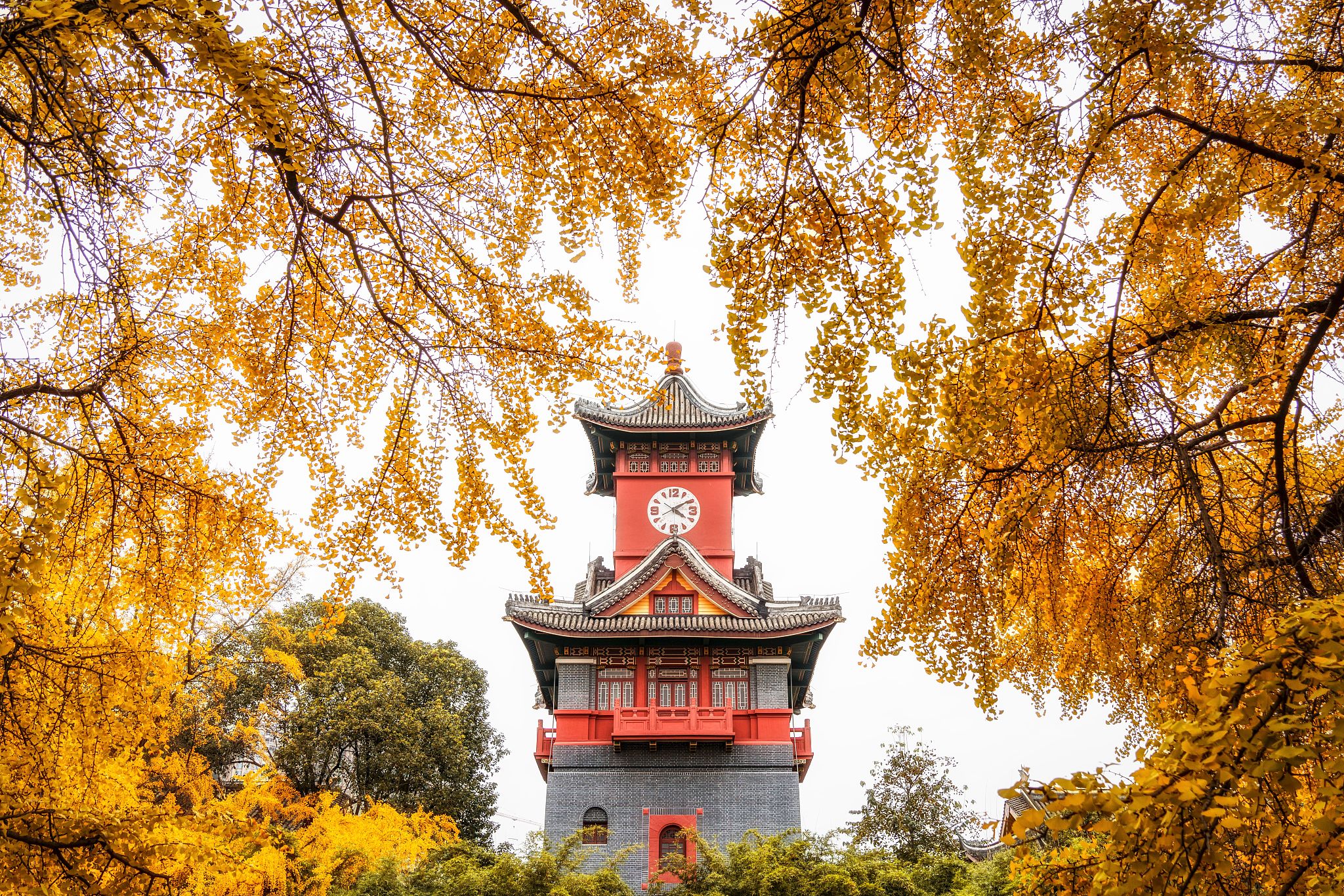 Sichuan University
