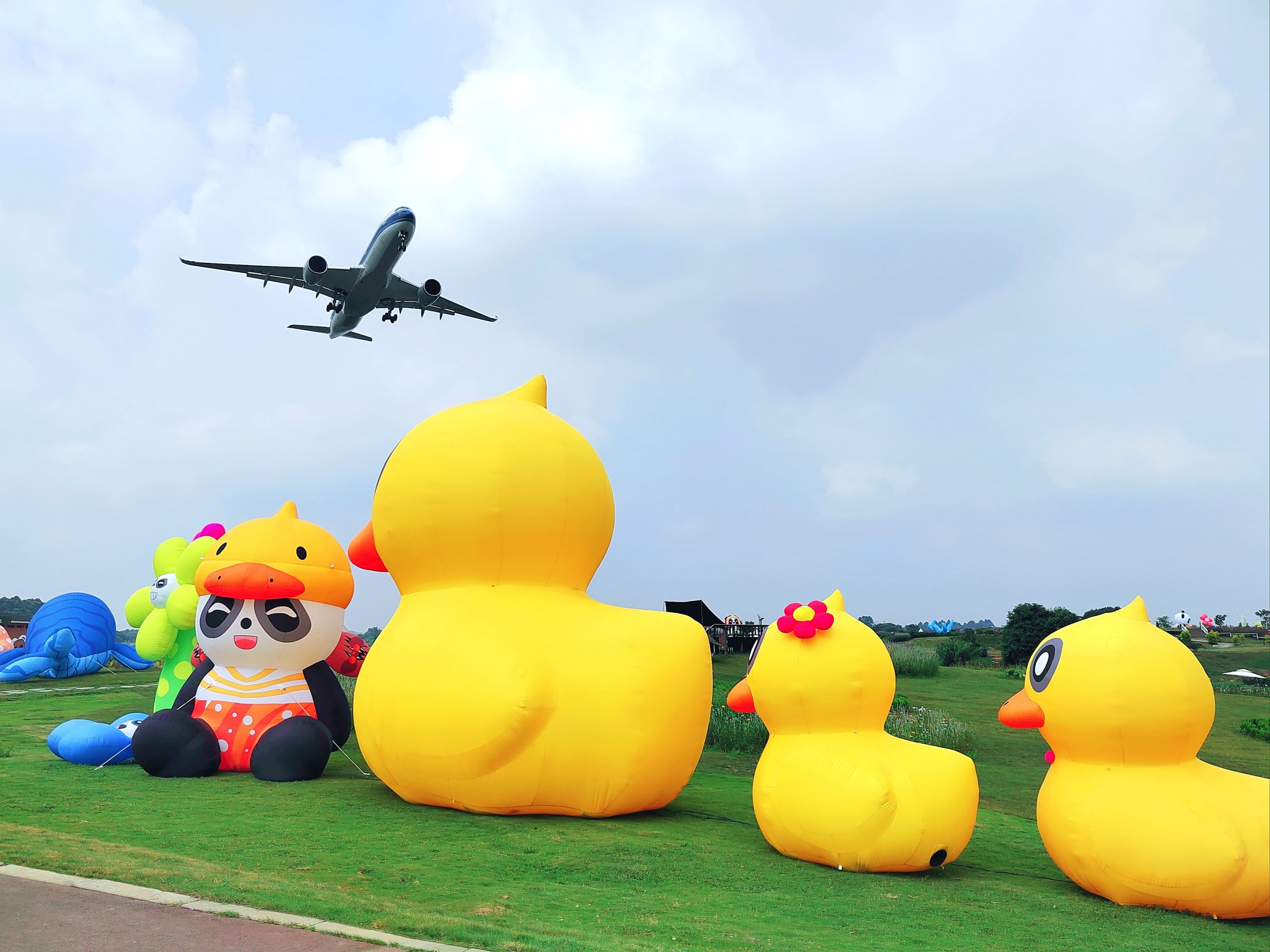 Airport Flower Field