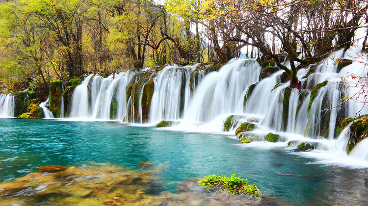 • Chengdu + Jiuzhaigou + Chongqing + Zhangjiajie + Fenghuang Ancient Town + Ciqikou + Hongya Cave + Huanglong National Scenic Area