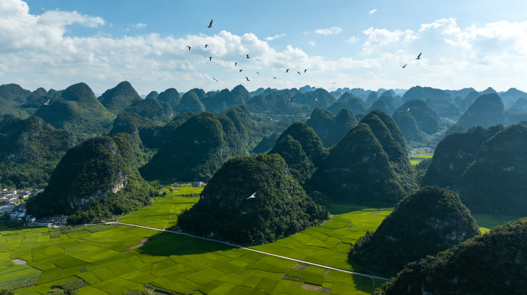 • Guizhou + China + Huangguoshu Waterfall + Qingyan Ancient Town + Wanfenglin Scenic Area + Maling River Canyon