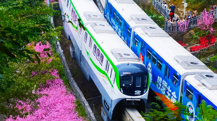 • Chongqing + Wulong District + Hongya Cave + Three Natural Bridges + Fairy Mountain National Forest Park + Eye in the Clouds