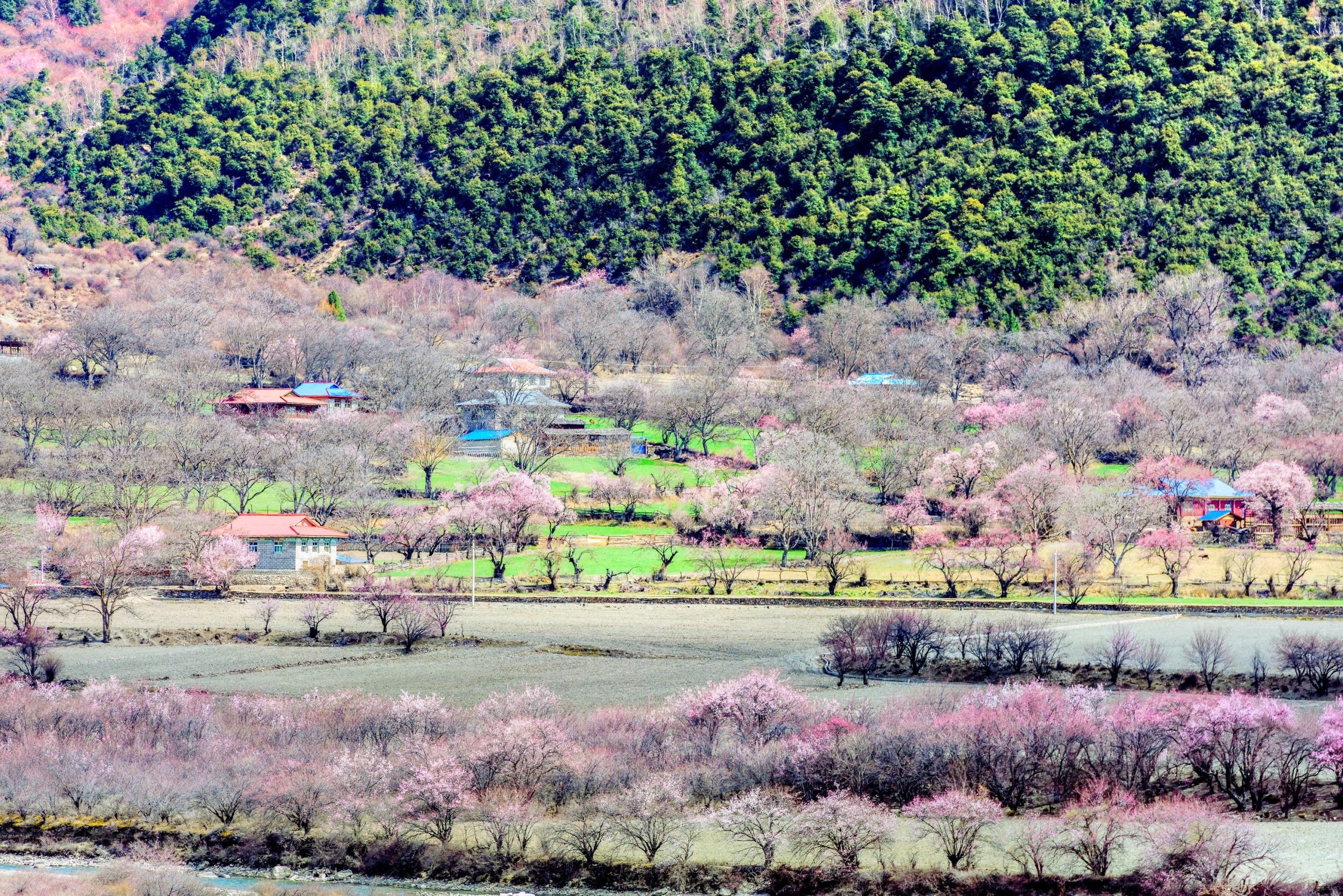 Galang Lake Scenic Area