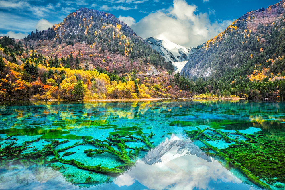 Five Flower Lake