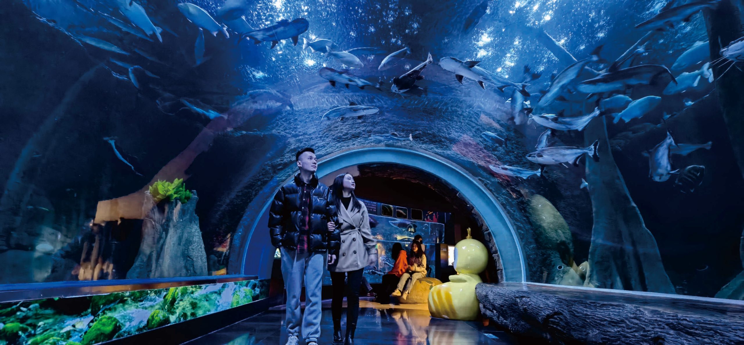 Chengdu Cube Oceanarium