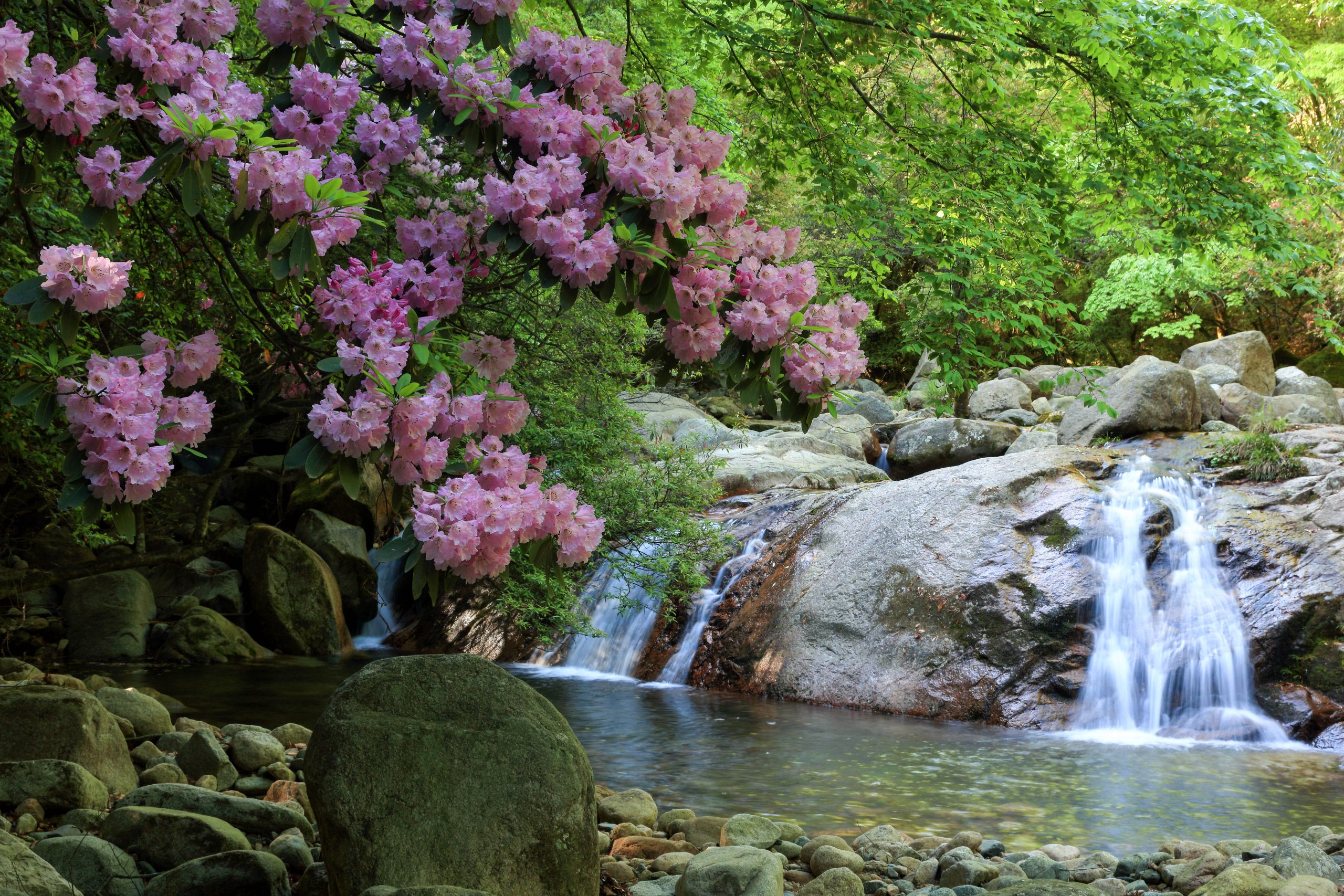 Eighteen Moon Lake Scenic Area